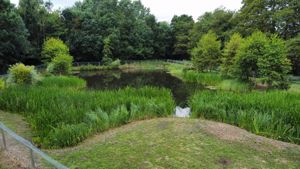 Photo 1- click for photo gallery